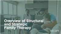 Overview of Structural and Strategic Family Therapy