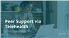 Peer Support via Telehealth