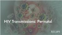 HIV Transmissions: Perinatal