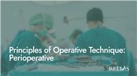 Principles of Operative Technique: Perioperative