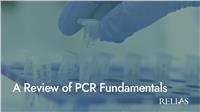 A Review of PCR Fundamentals