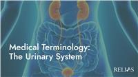 Medical Terminology: The Urinary System