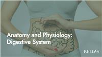 Anatomy and Physiology: Digestive System