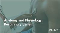 Anatomy and Physiology: Respiratory System