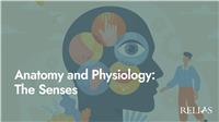 Anatomy and Physiology: The Senses