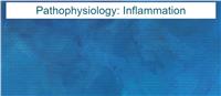 Pathophysiology: Inflammation