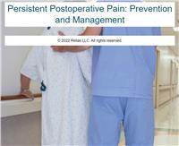 Persistent Postoperative Pain: Prevention and Management