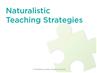 Naturalistic Teaching Strategies