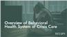 Overview of Behavioral Health System of Crisis Care
