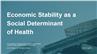 Economic Stability as a Social Determinant of Health